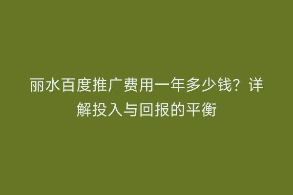 丽水百度推广费用一年多少钱?详解投入与回报的平衡
