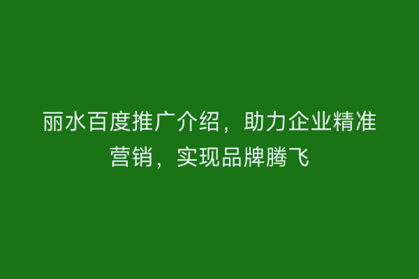 丽水百度推广介绍，助力企业精准营销，实现品牌腾飞