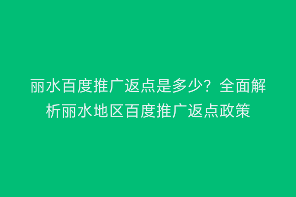 丽水百度推广返点是多少?全面解析丽水地区百度推广返点政策