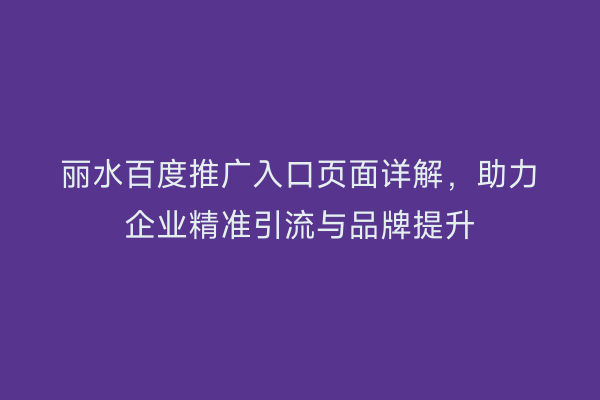 丽水百度推广入口页面详解,助力企业精准引流与品牌提升