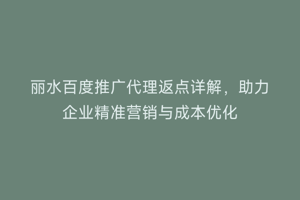 丽水百度推广代理返点详解,助力企业精准营销与成本优化