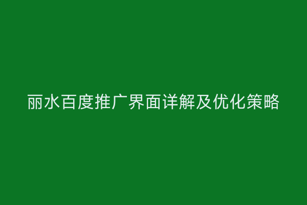 丽水百度推广界面详解及优化策略