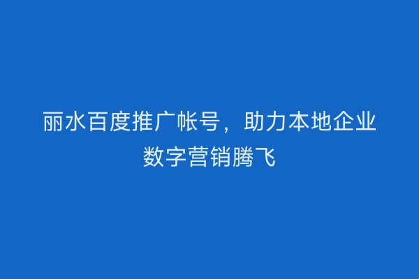 丽水百度推广帐号,助力本地企业数字营销腾飞