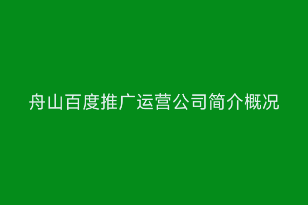 舟山百度推广运营公司简介概况