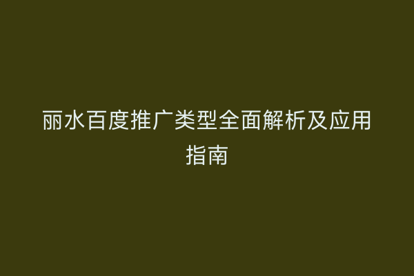 丽水百度推广类型全面解析及应用指南