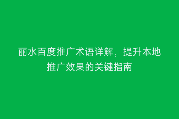 丽水百度推广术语详解,提升本地推广效果的关键指南