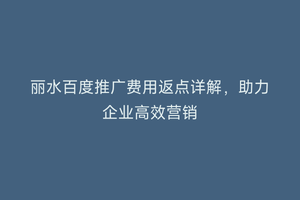 丽水百度推广费用返点详解,助力企业高效营销