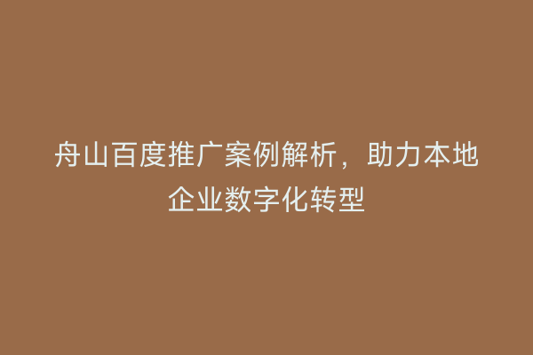 舟山百度推广案例解析,助力本地企业数字化转型