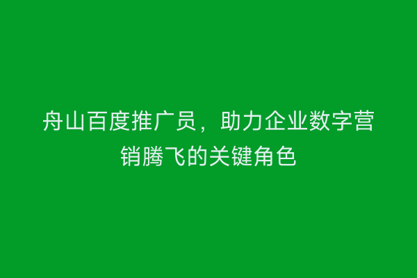 舟山百度推广员,助力企业数字营销腾飞的关键角色