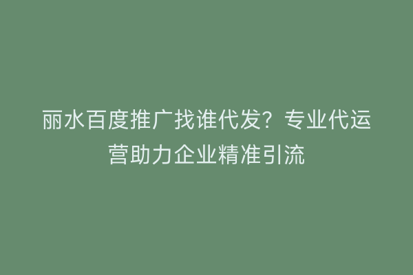 丽水百度推广找谁代发?专业代运营助力企业精准引流