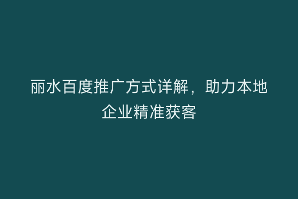 丽水百度推广方式详解,助力本地企业精准获客
