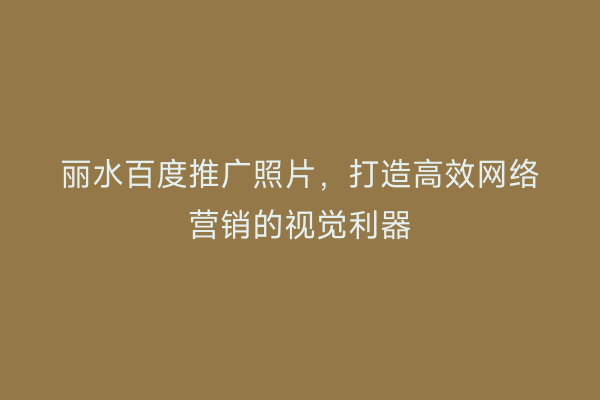丽水百度推广照片,打造高效网络营销的视觉利器