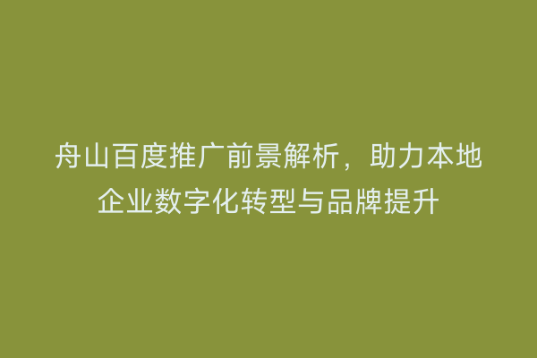 舟山百度推广前景解析,助力本地企业数字化转型与品牌提升