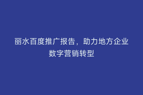 丽水百度推广报告,助力地方企业数字营销转型