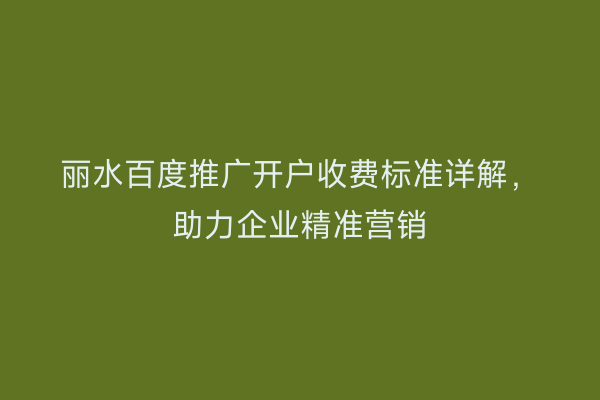 丽水百度推广开户收费标准详解，助力企业精准营销