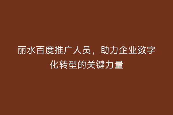 丽水百度推广人员，助力企业数字化转型的关键力量