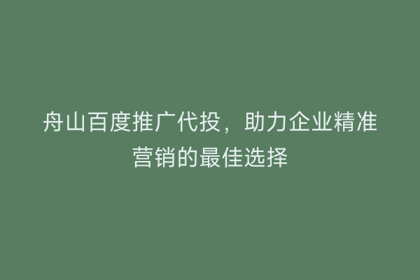 舟山百度推广代投,助力企业精准营销的最佳选择