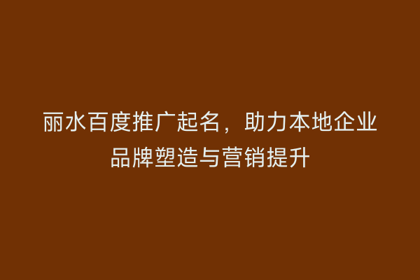 丽水百度推广起名，助力本地企业品牌塑造与营销提升