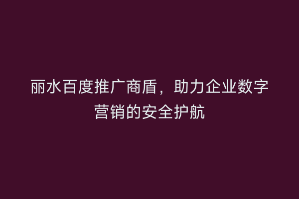 丽水百度推广商盾，助力企业数字营销的安全护航