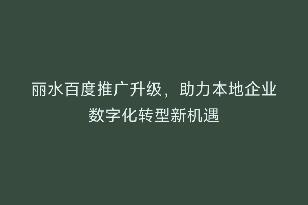 丽水百度推广升级,助力本地企业数字化转型新机遇