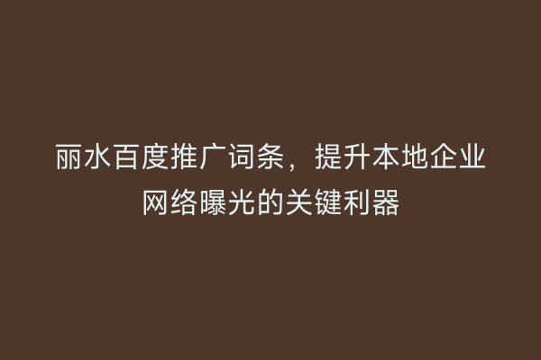 丽水百度推广词条,提升本地企业网络曝光的关键利器