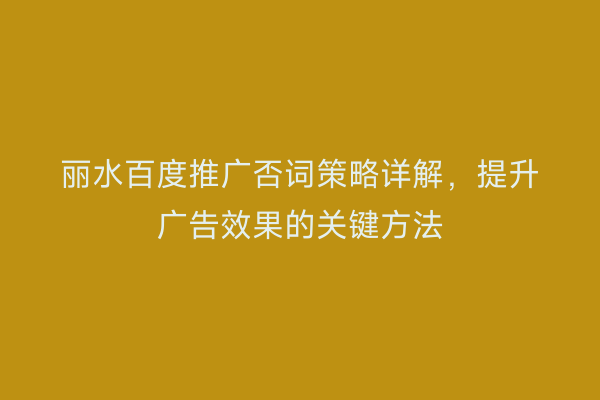 丽水百度推广否词策略详解,提升广告效果的关键方法