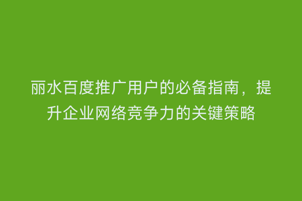 丽水百度推广用户的必备指南,提升企业网络竞争力的关键策略