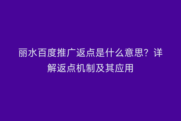 丽水百度推广返点是什么意思?详解返点机制及其应用