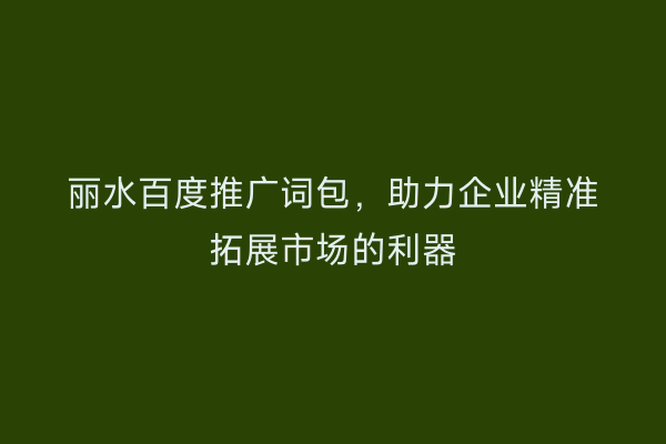 丽水百度推广词包，助力企业精准拓展市场的利器