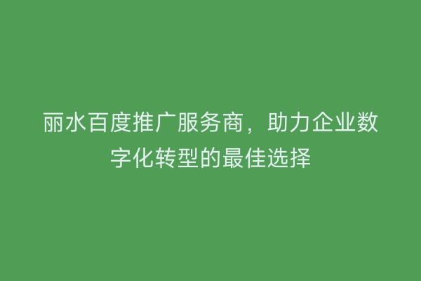 丽水百度推广服务商,助力企业数字化转型的最佳选择