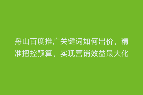 舟山百度推广关键词如何出价,精准把控预算,实现营销效益最大化