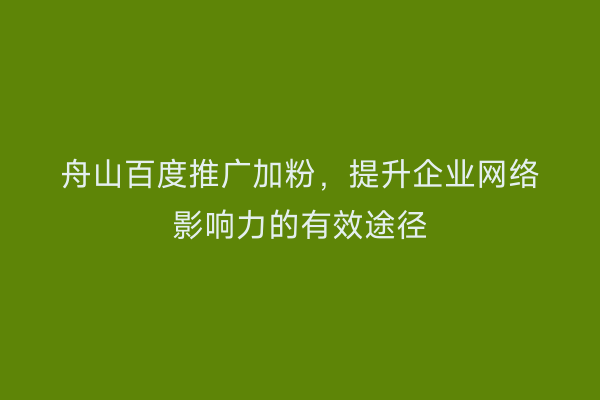 舟山百度推广加粉,提升企业网络影响力的有效途径