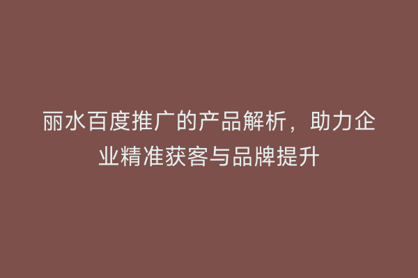 丽水百度推广的产品解析,助力企业精准获客与品牌提升