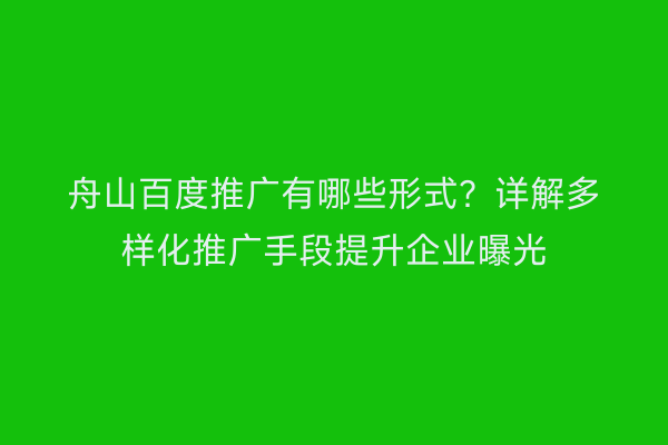 舟山百度推广有哪些形式？详解多样化推广手段提升企业曝光
