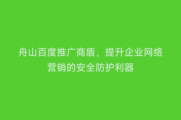 舟山百度推广商盾，提升企业网络营销的安全防护利器