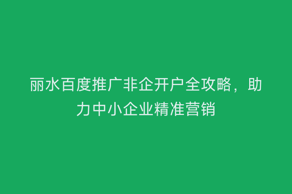 丽水百度推广非企开户全攻略,助力中小企业精准营销