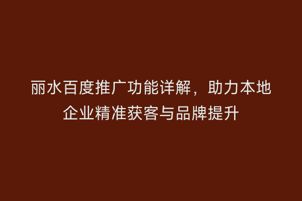 丽水百度推广功能详解,助力本地企业精准获客与品牌提升