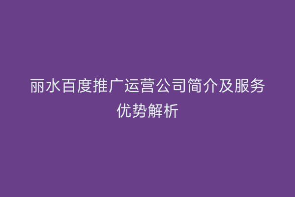 丽水百度推广运营公司简介及服务优势解析