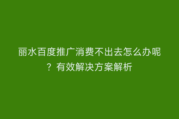 丽水百度推广消费不出去怎么办呢?有效解决方案解析