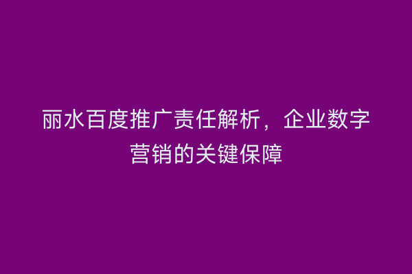 丽水百度推广责任解析,企业数字营销的关键保障