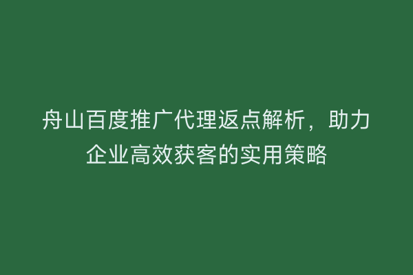 舟山百度推广代理返点解析,助力企业高效获客的实用策略