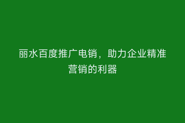 丽水百度推广电销,助力企业精准营销的利器