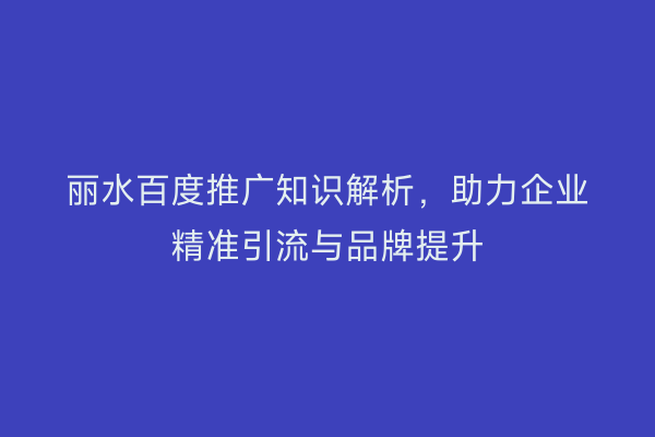 丽水百度推广知识解析,助力企业精准引流与品牌提升