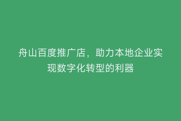 舟山百度推广店,助力本地企业实现数字化转型的利器