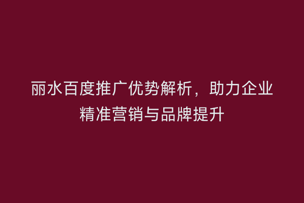 丽水百度推广优势解析,助力企业精准营销与品牌提升