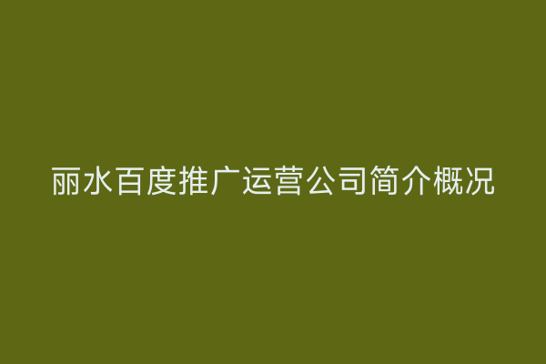 丽水百度推广运营公司简介概况