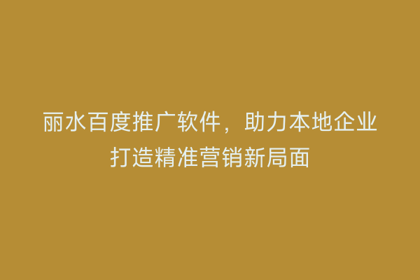 丽水百度推广软件,助力本地企业打造精准营销新局面