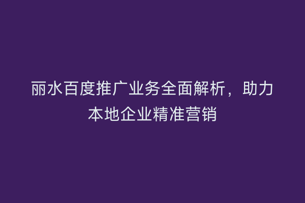 丽水百度推广业务全面解析,助力本地企业精准营销