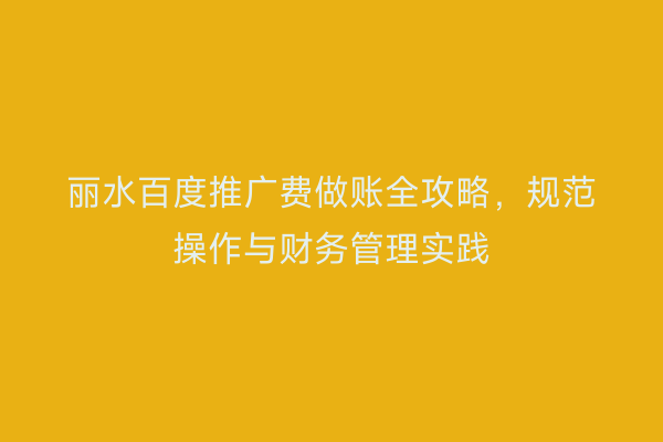 丽水百度推广费做账全攻略,规范操作与财务管理实践