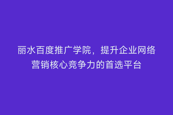 丽水百度推广学院，提升企业网络营销核心竞争力的首选平台